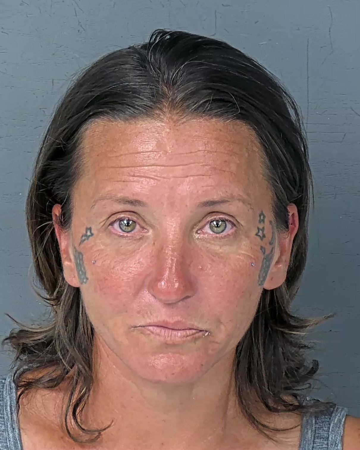 Mugshot of SALLY RENEE LOFTIN