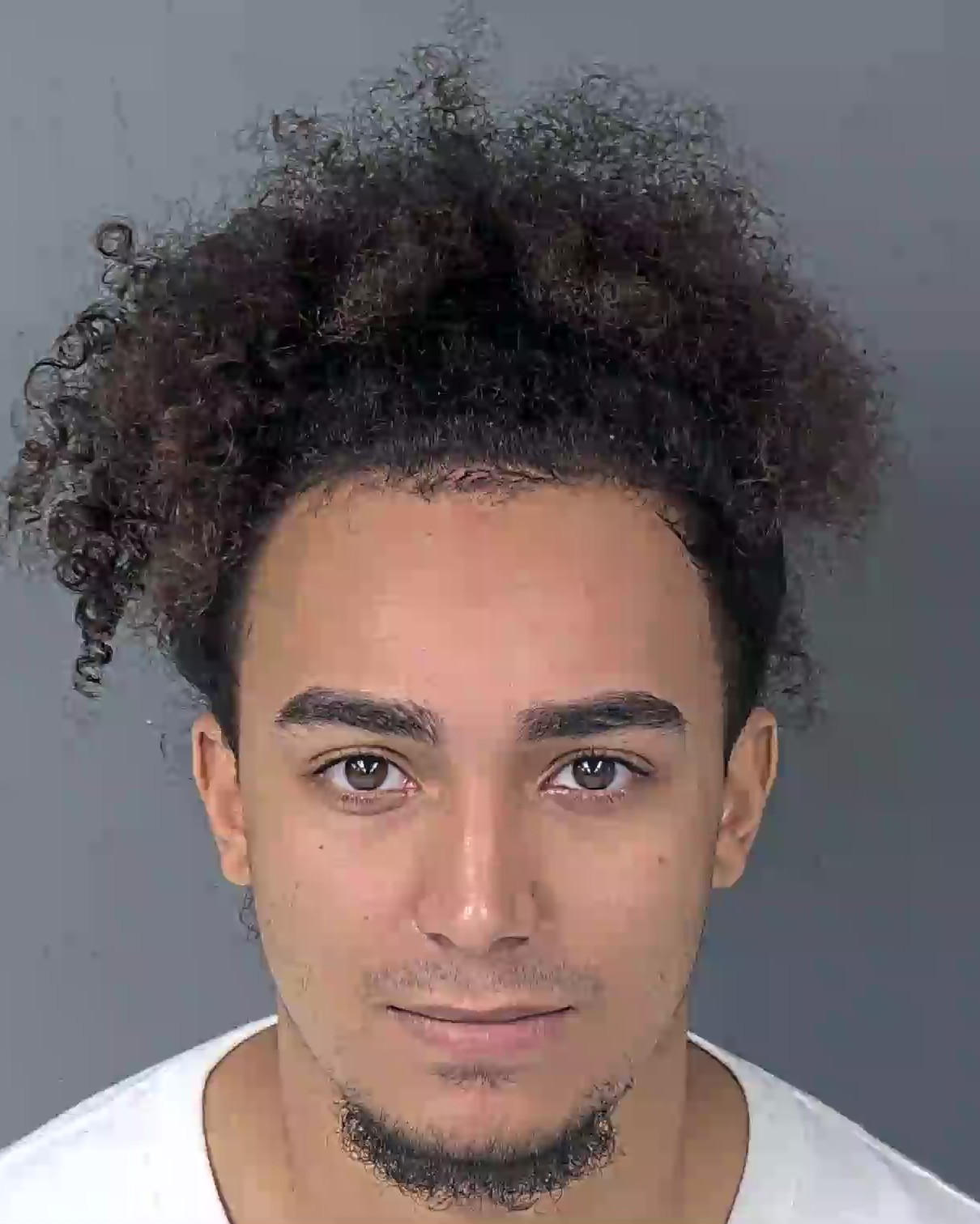 Mugshot of DARIUS ADELINO MARTINS