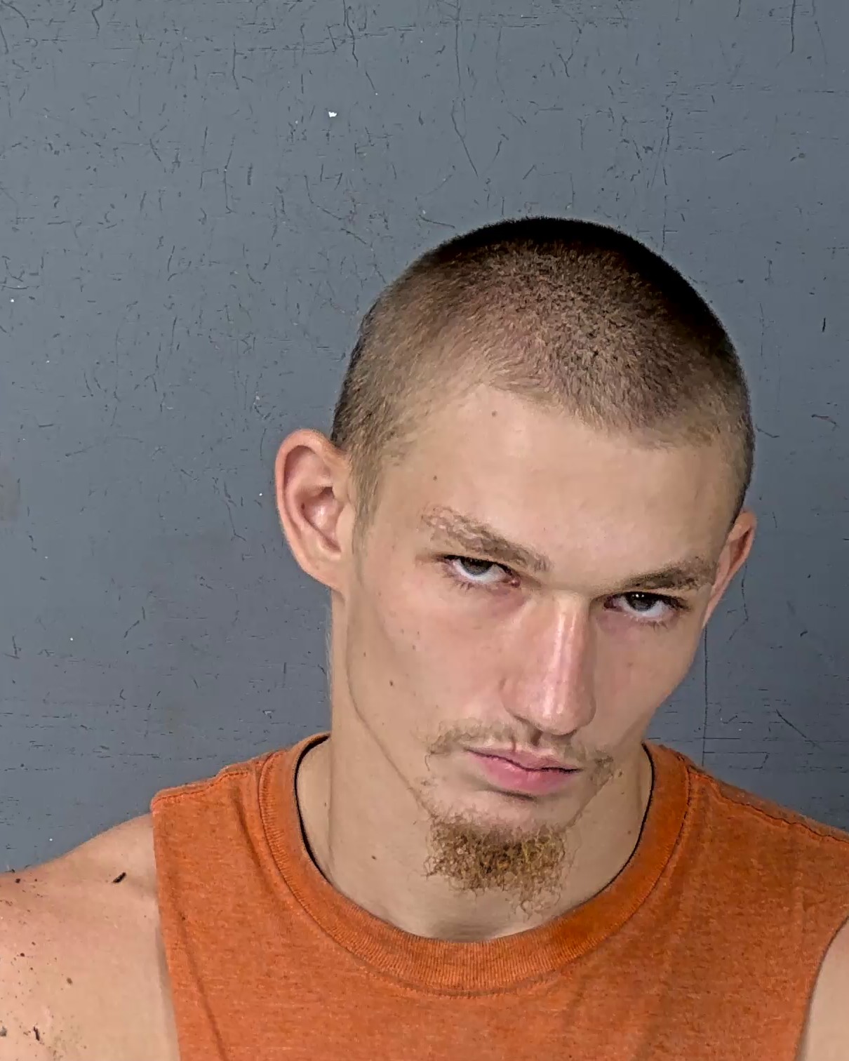 Mugshot of VIRGLE EUGENE WENTWORTH