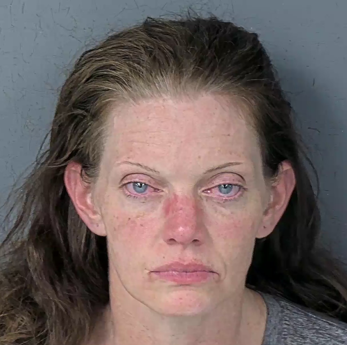 Mugshot of REBECCA ANN SCHOTT
