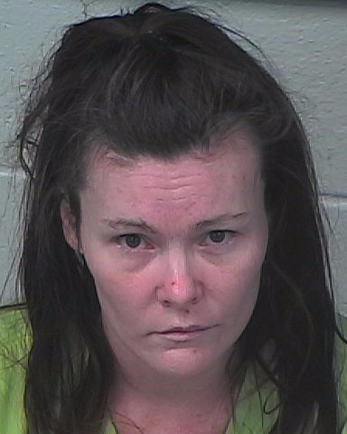 Mugshot of SYLVIA HOPE VERELLEN