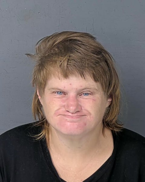 Mugshot of SUSAN DELORES LUPPO