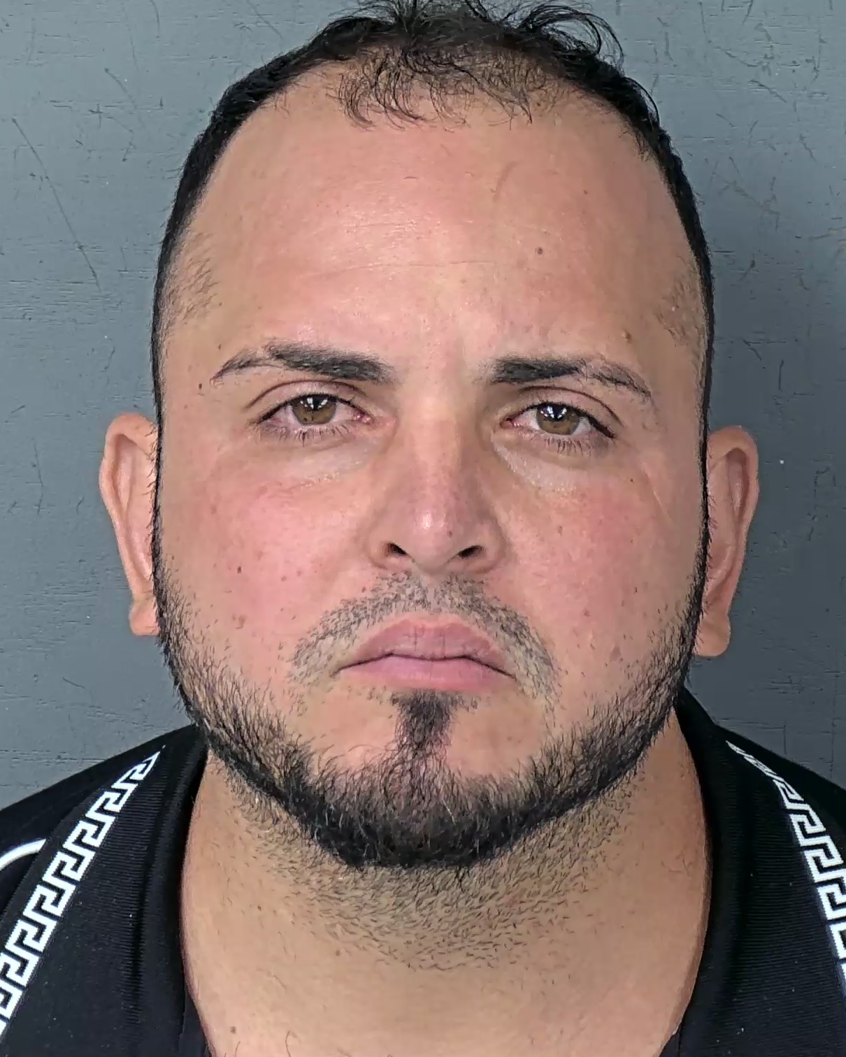Mugshot of DANIEL DAYAN HERNANDEZ HERNANDEZ