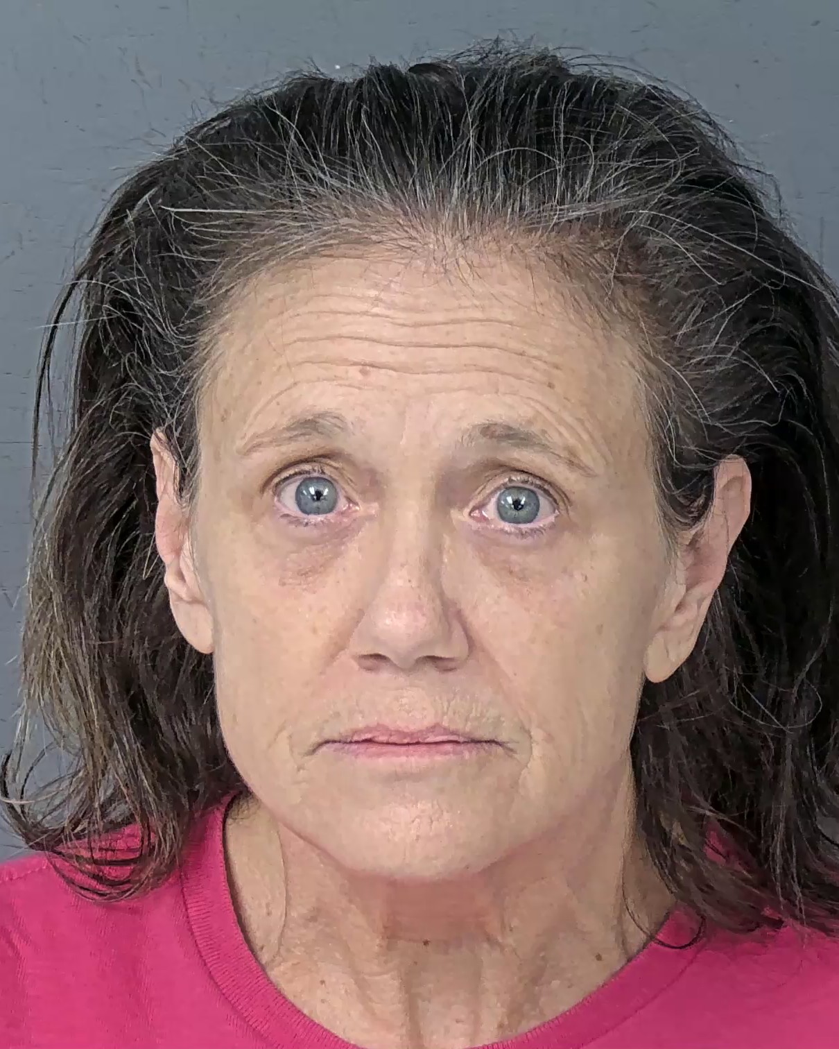 Mugshot of VICTORIA EILEEN BENEDICT