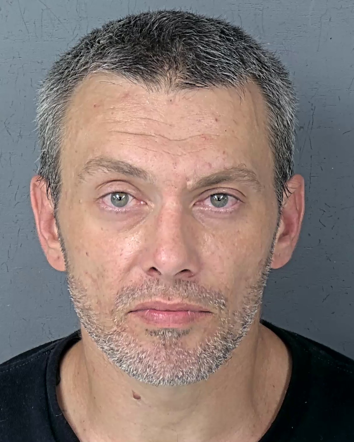 Mugshot of NIGEL DEANE FLEMING