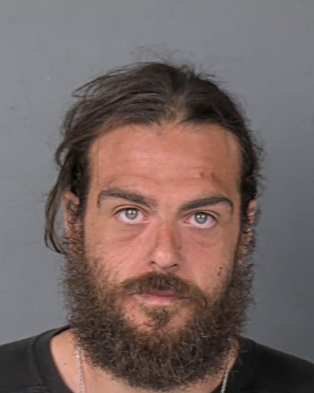 Mugshot of DYLAN JAY DAYKIN