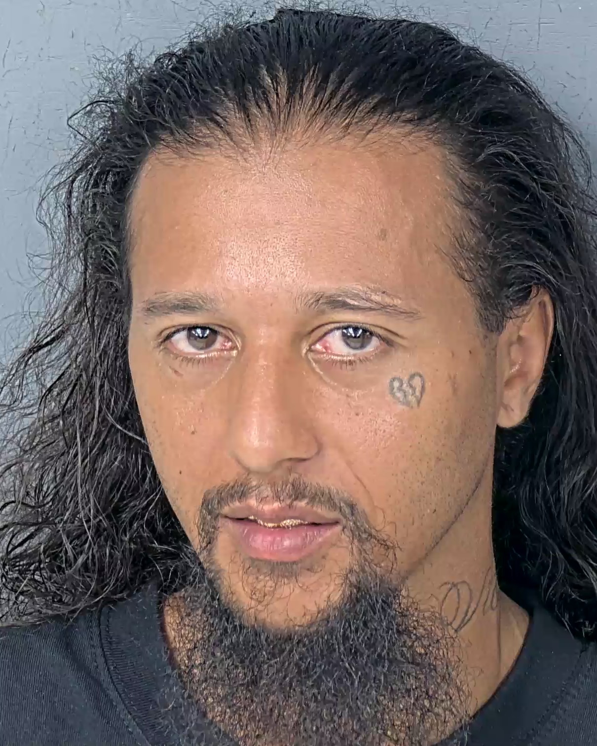 Mugshot of LA VALLE LA MAR CHESTER