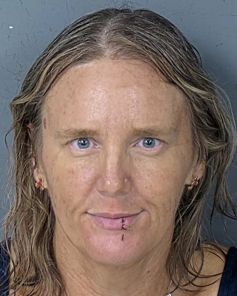 Mugshot of SARAH JOYCE NOVAK