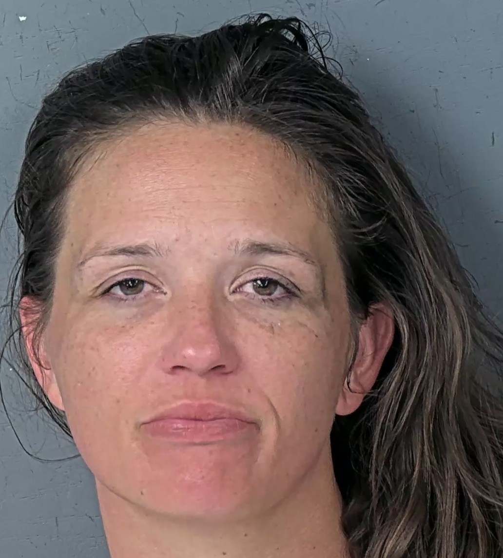 Mugshot of FELICIAH ELISE ST HILAIRE
