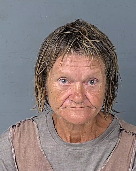 Mugshot of BARBARA STAINES PASSERIN