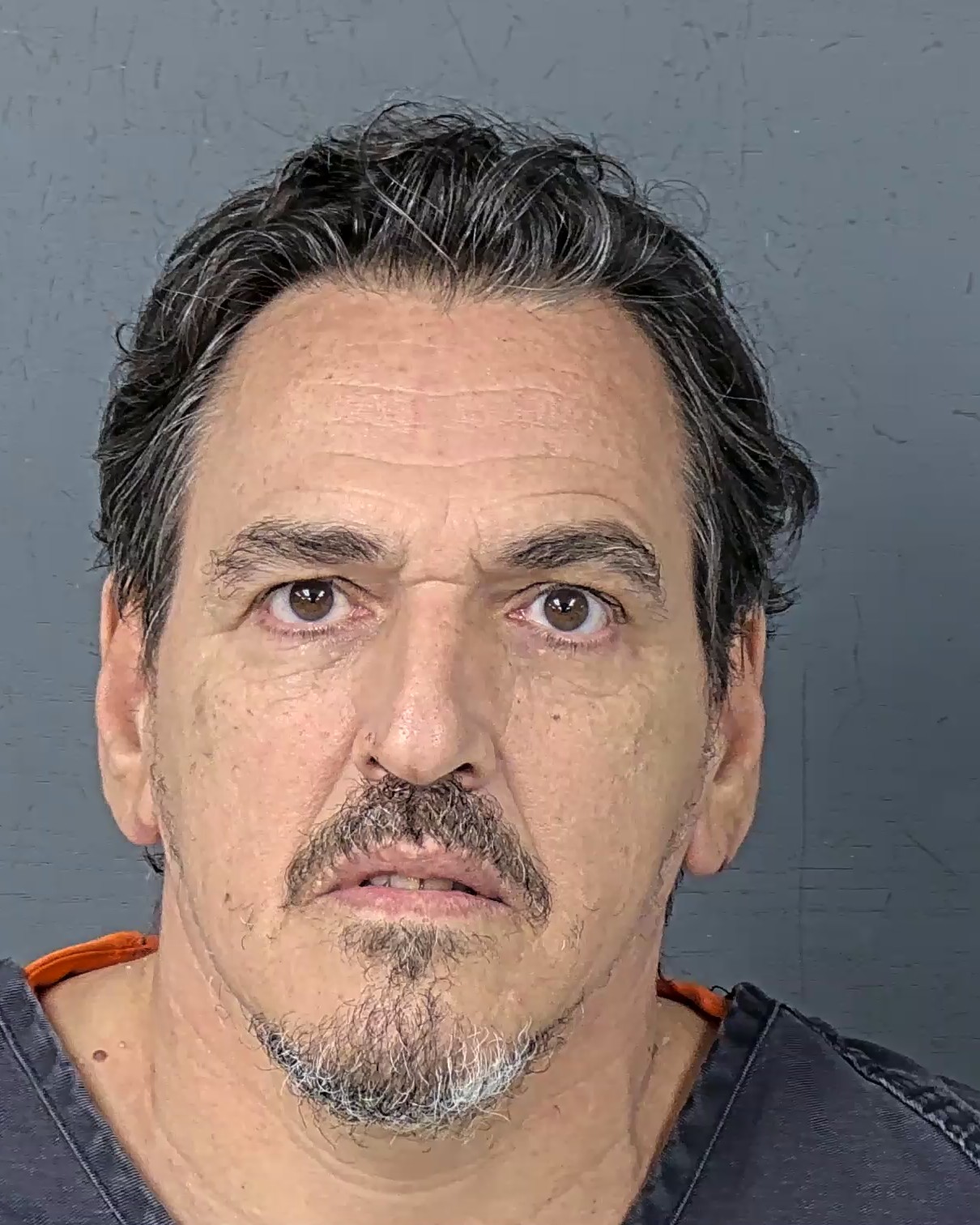 Mugshot of SANDRO PERUGORRIA LUNA