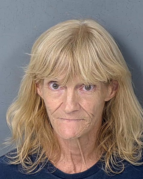 Mugshot of THERESA ROSELLA COMBAST