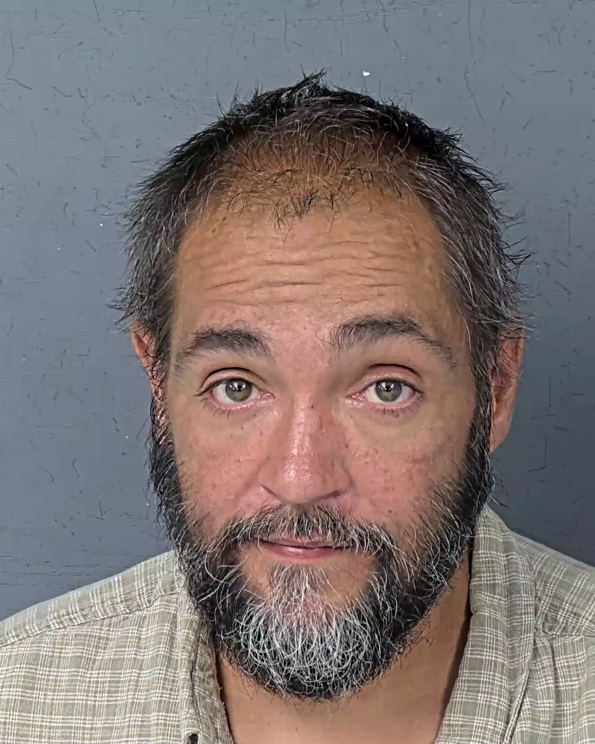 Mugshot of PEDRO BERMUDEZ