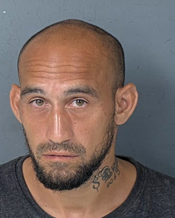 Mugshot of DAMEON LUIS TORRES