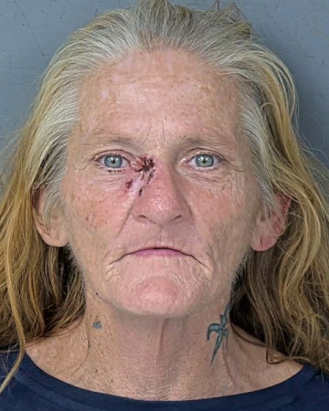 Mugshot of BARBARA JOSEPHINE LANE