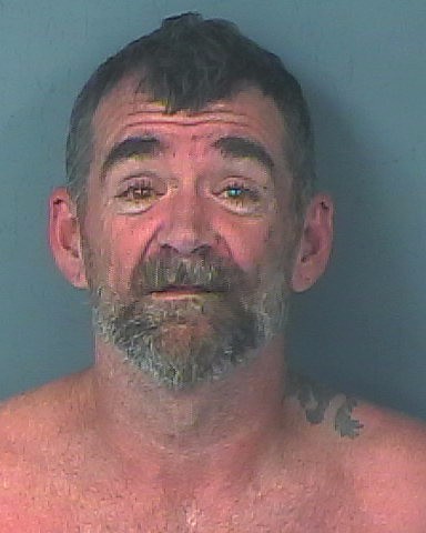 Mugshot of JAMES CY MAYHALL