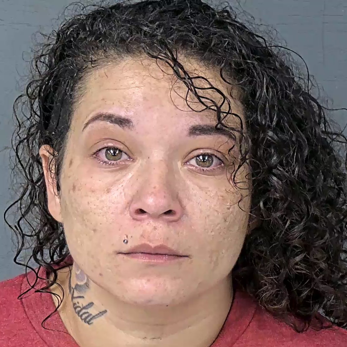 Mugshot of ROSA MARIE TORRES
