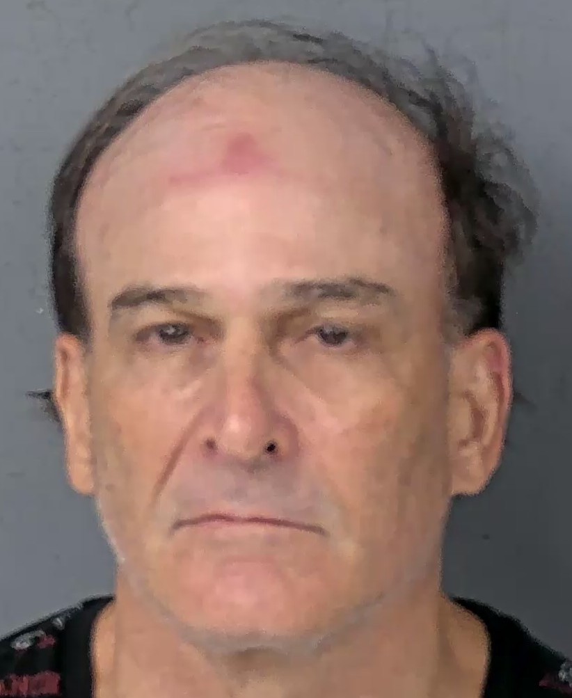 Mugshot of MARK LOGAN BRENTS