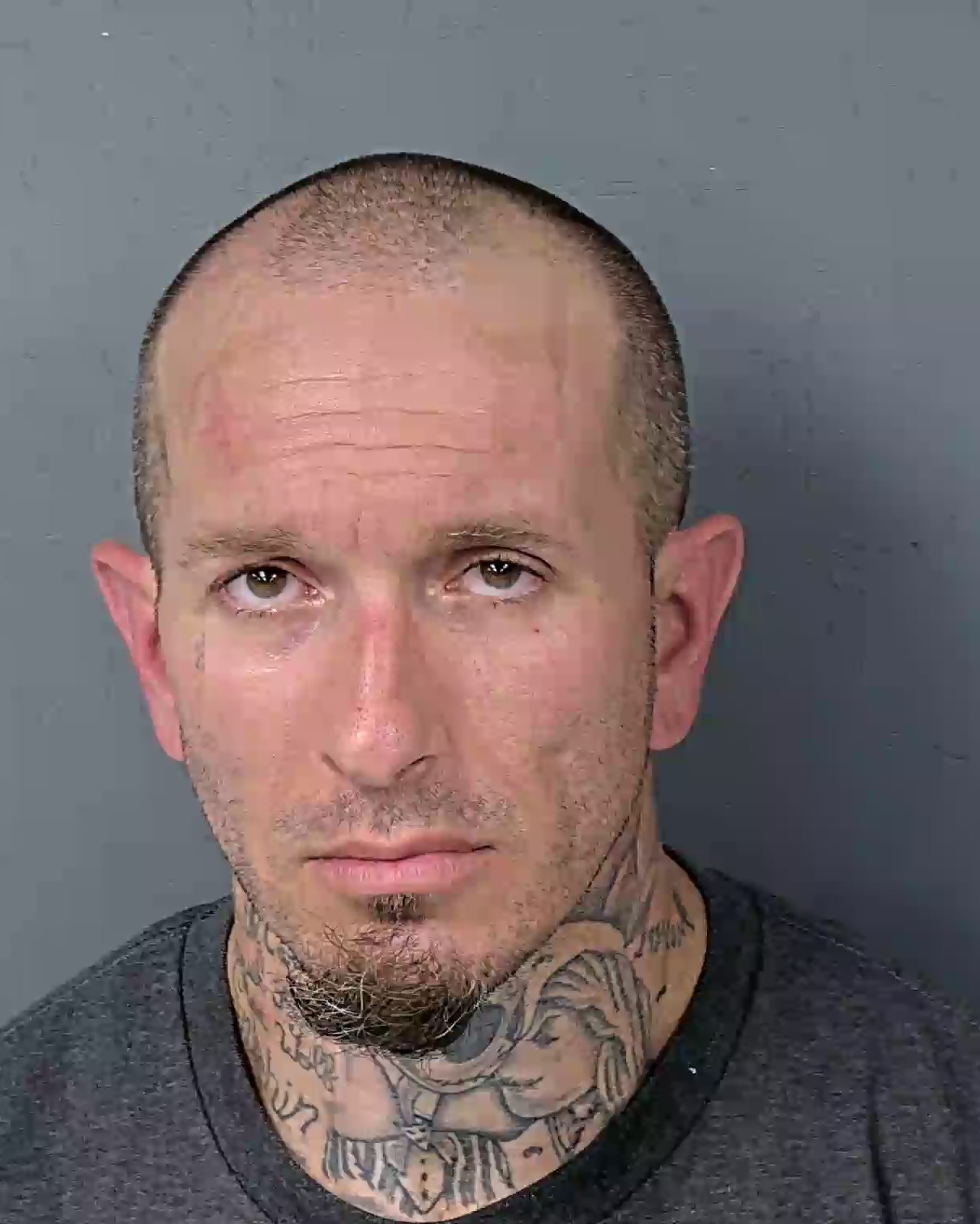 Mugshot of BRANDON JAMES MARKEY