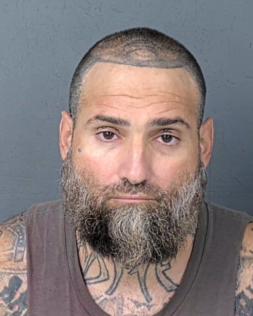 Mugshot of MICHAEL ANTHONY GIOVINAZZI