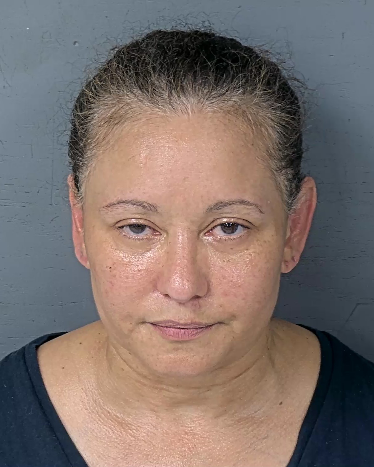 Mugshot of ERIKA MOLLIN
