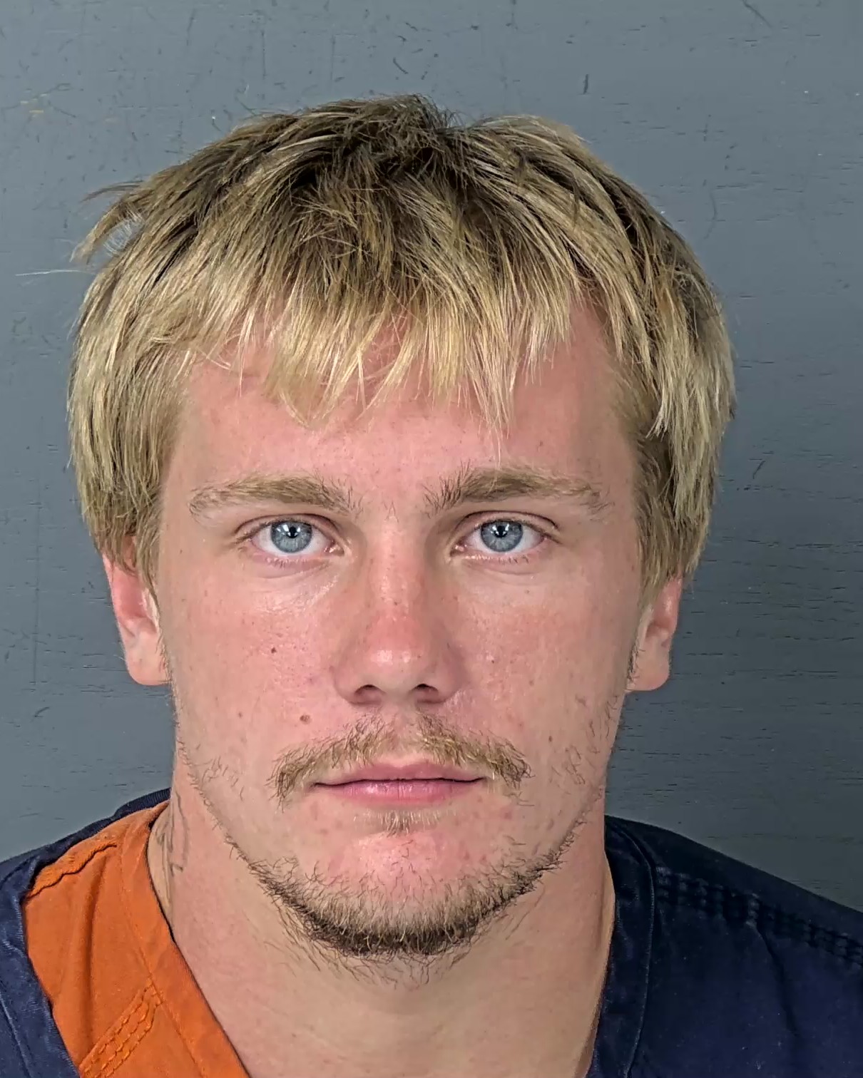 Mugshot of TRISTAN AARON LOHR