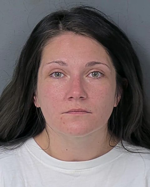 Mugshot of AMY ELIZABETH MCDONALD