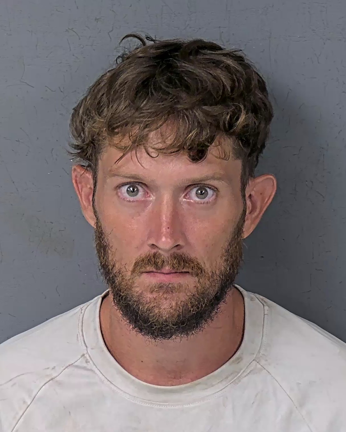 Mugshot of COLLIN YOUNG WILKES