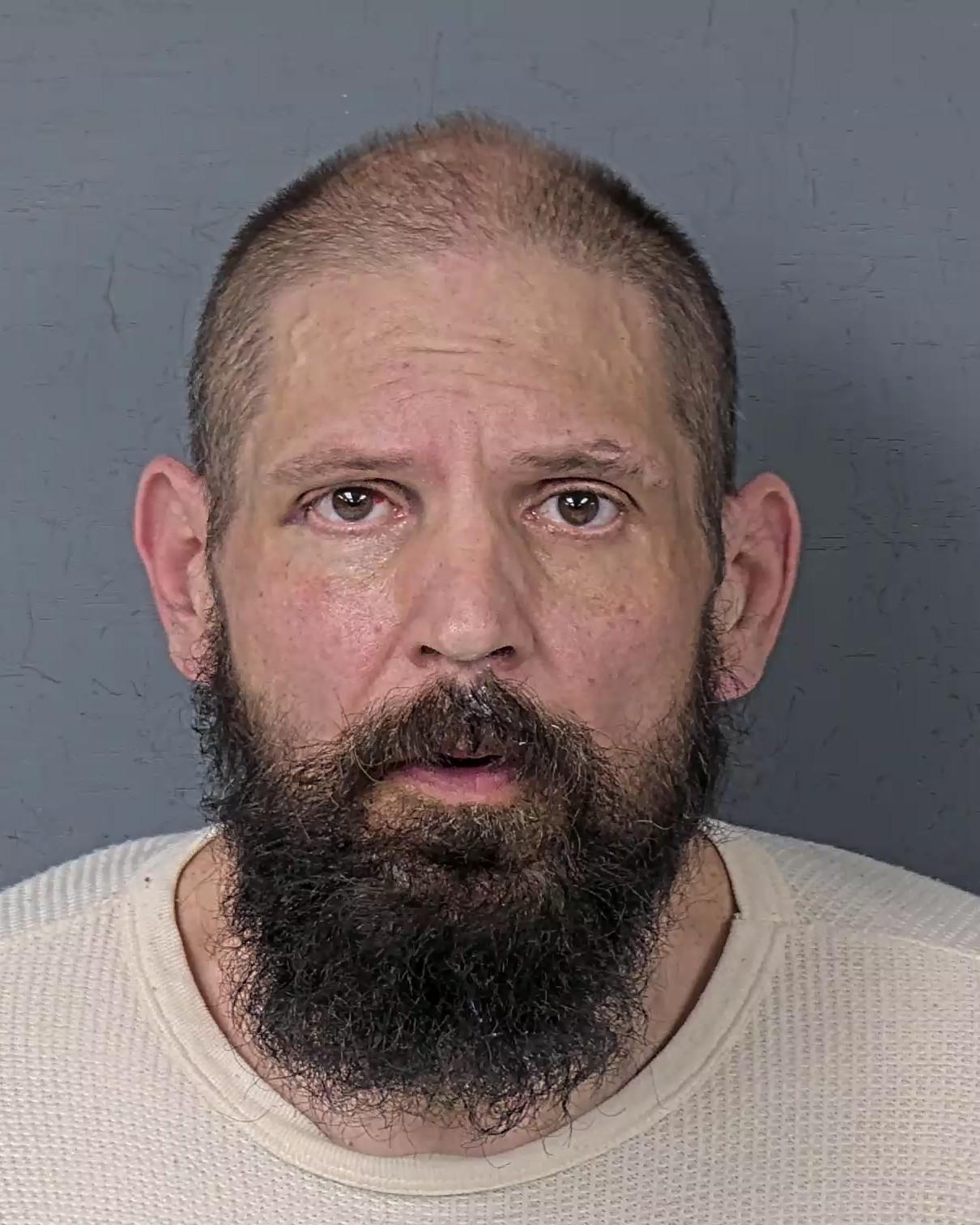 Mugshot of MICHAEL JOHN LANGAS