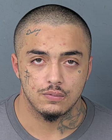 Mugshot of ADRIAN JAMES GONSALVES