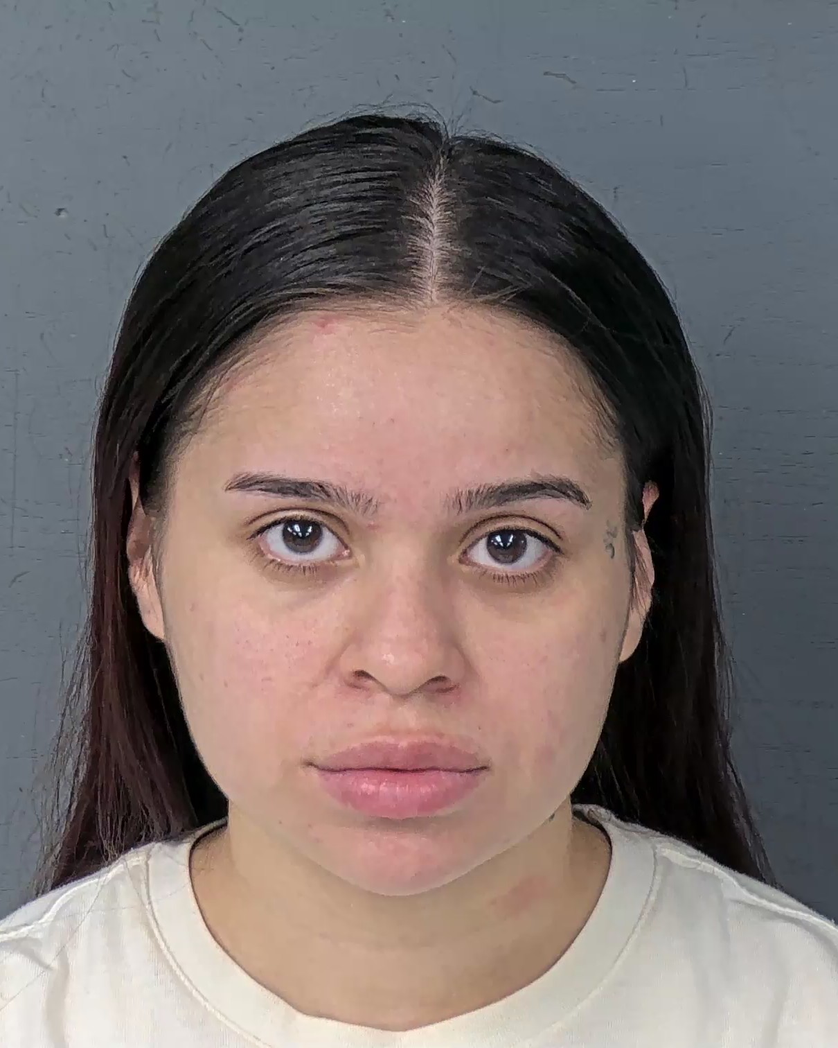 Mugshot of CYNTHIA HERNANDEZ CALVILLO