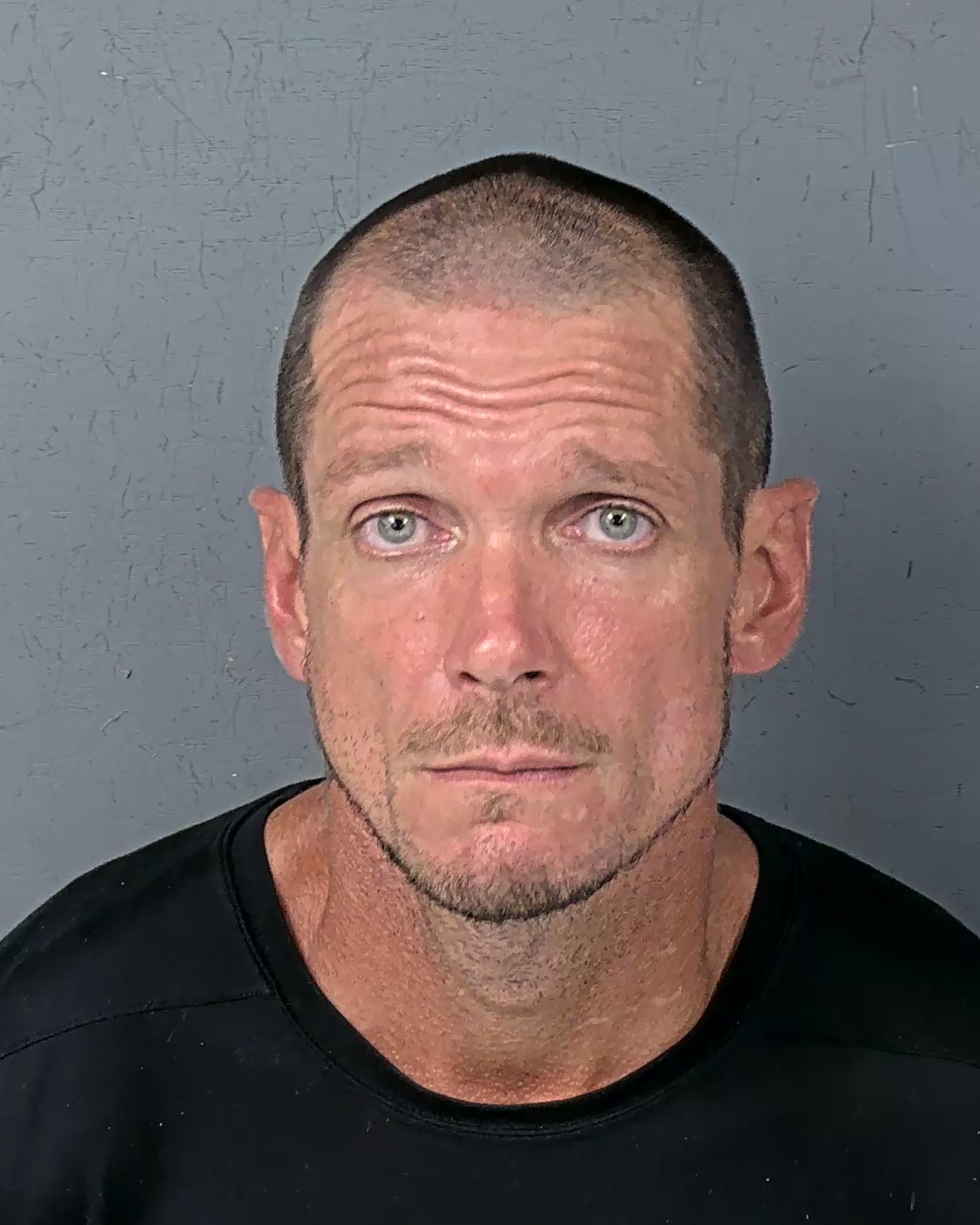 Mugshot of JON PALMER LAYTON