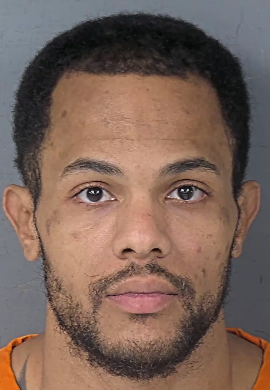 Mugshot of ARTRIX A LEDEE