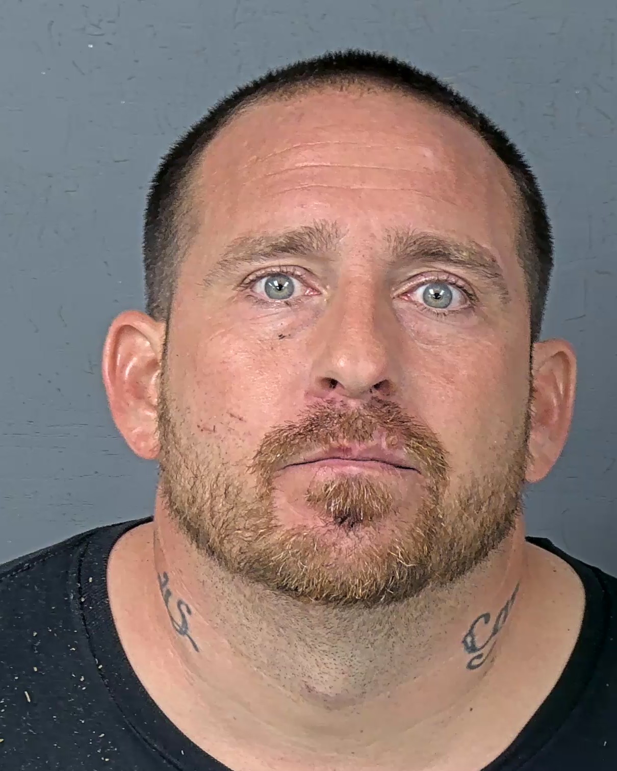 Mugshot of STEPHEN ANTHONY BROWN