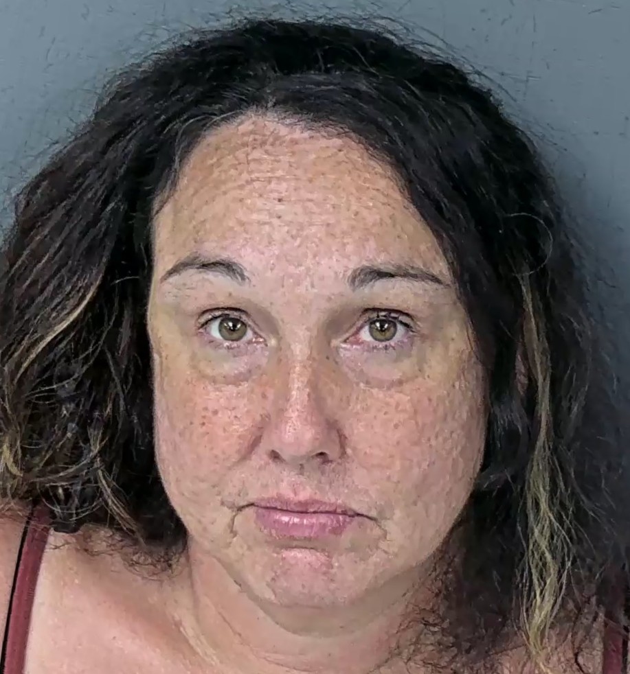 Mugshot of JESSICA JEAN FERRIN