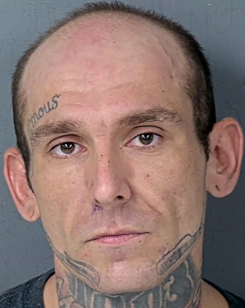 Mugshot of MICHEAL LEWIS HOSKINS