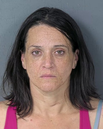 Mugshot of VICKI LYNN GERMINO