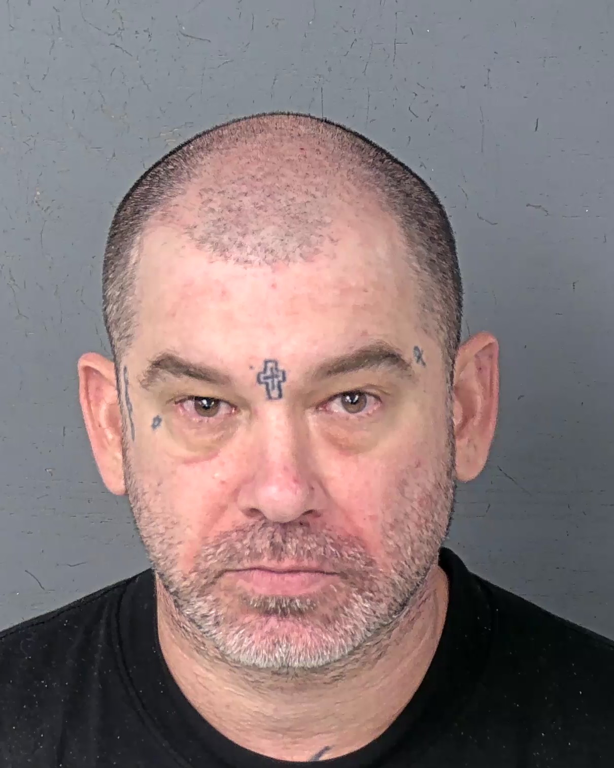 Mugshot of MICHAEL JOSEPH LYNCH