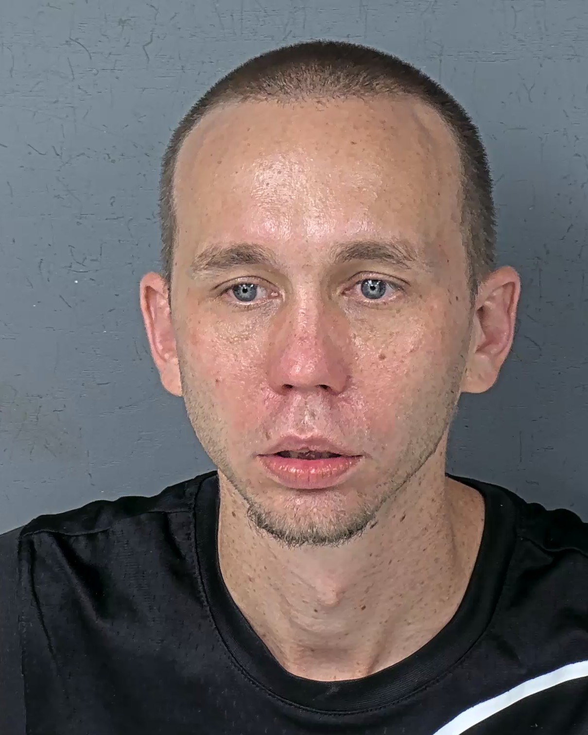 Mugshot of LOUIS ARTHUR ARENDES