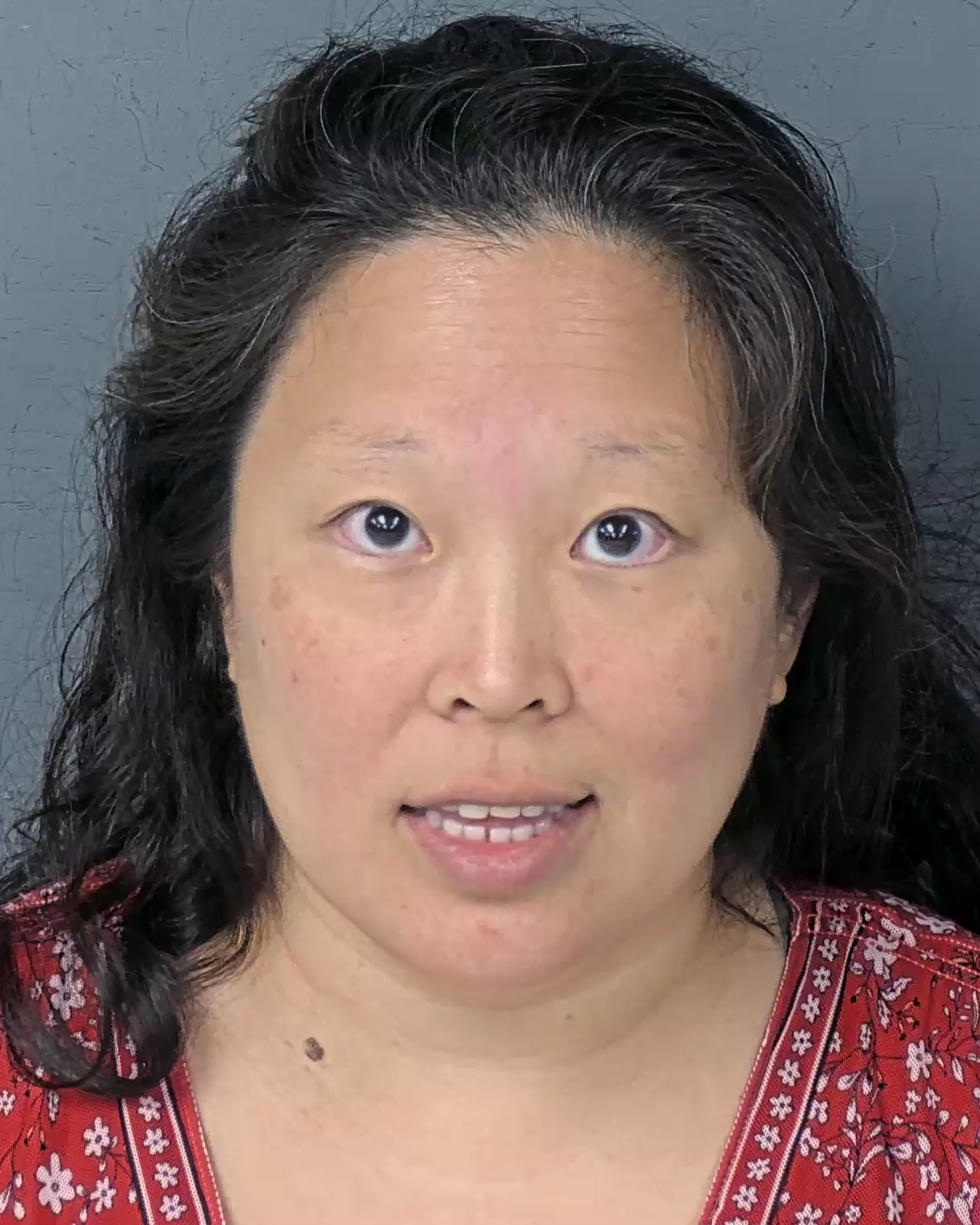 Mugshot of JANE MIHISIEN LEE