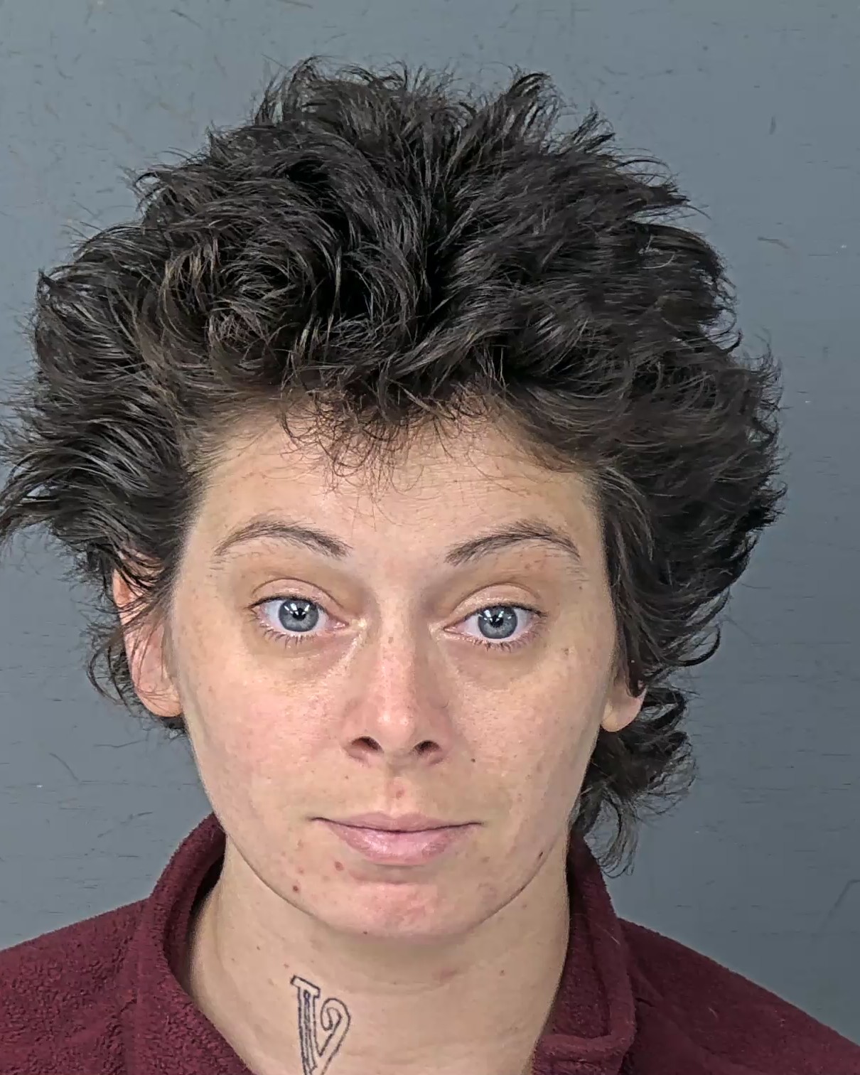 Mugshot of HALEY ANNE KRISTEN ABELON