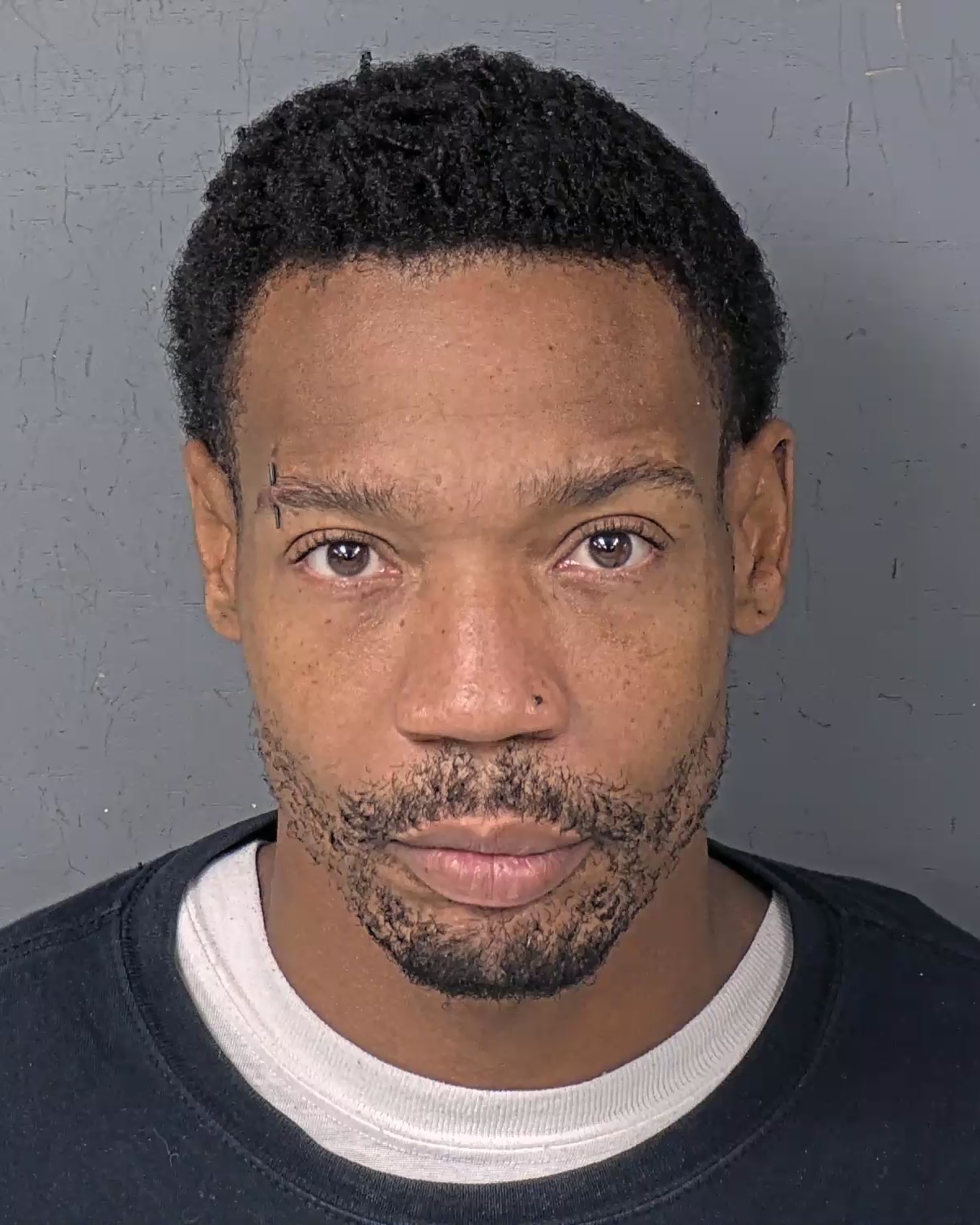 Mugshot of PASQUALE ORLANDO HOLT