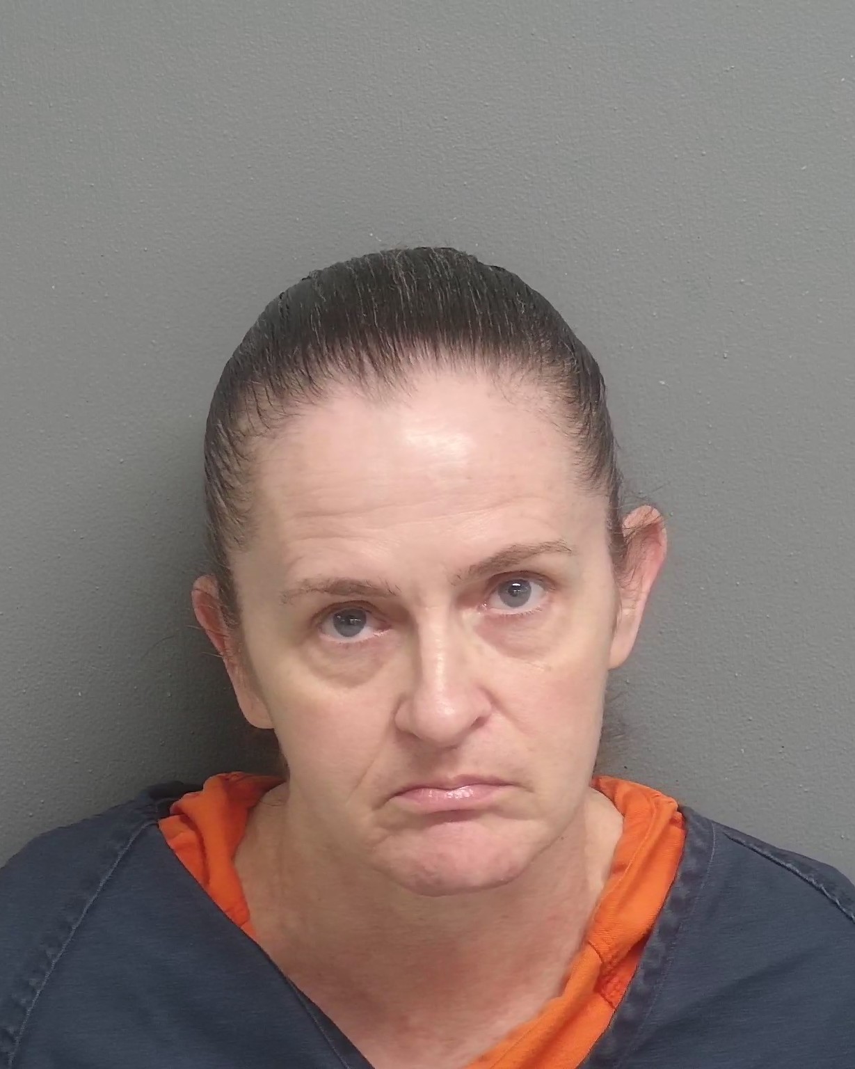 Mugshot of CHRISTINE LYNN TURANICZO