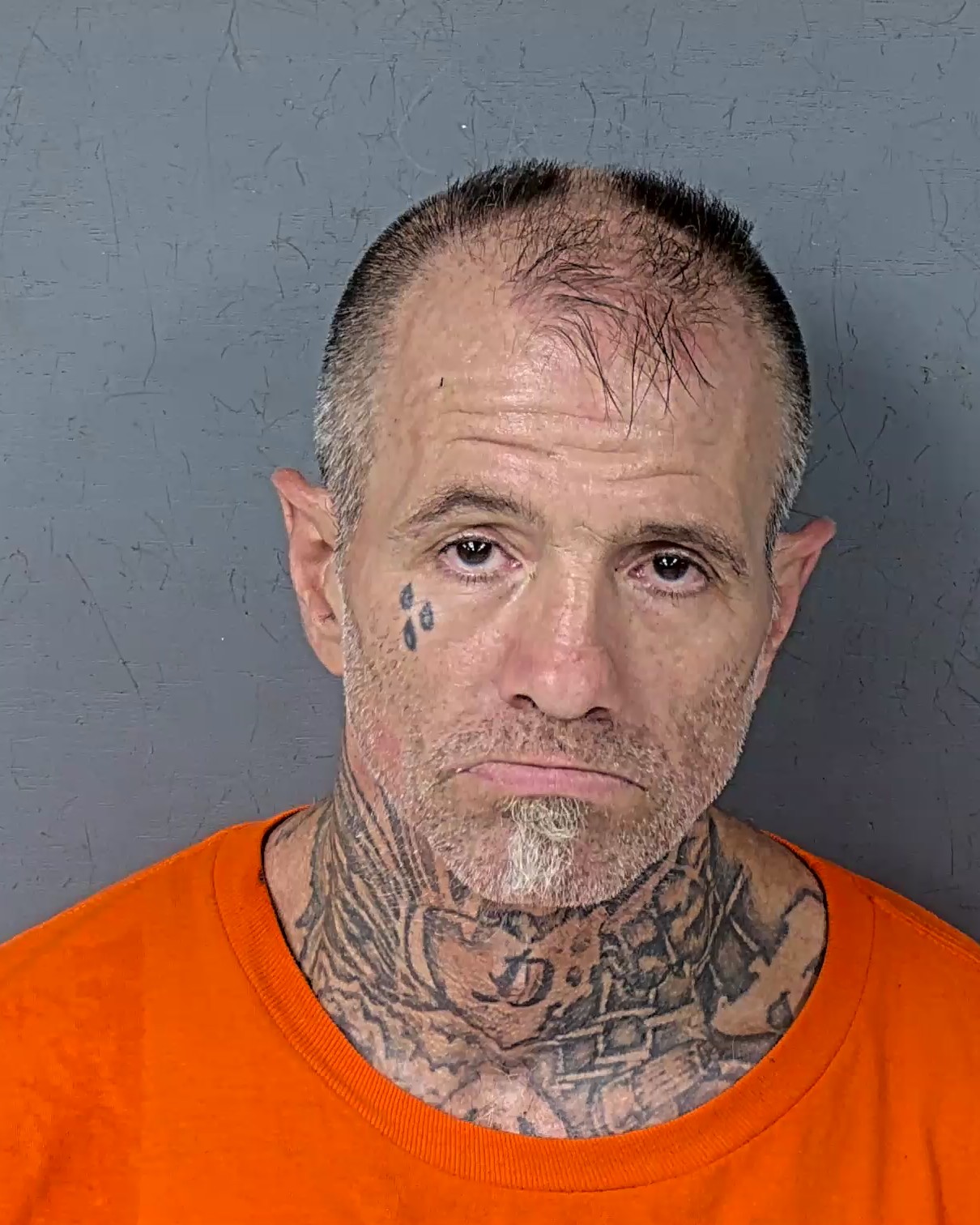Mugshot of CHAD JEFFREY FAUCHER