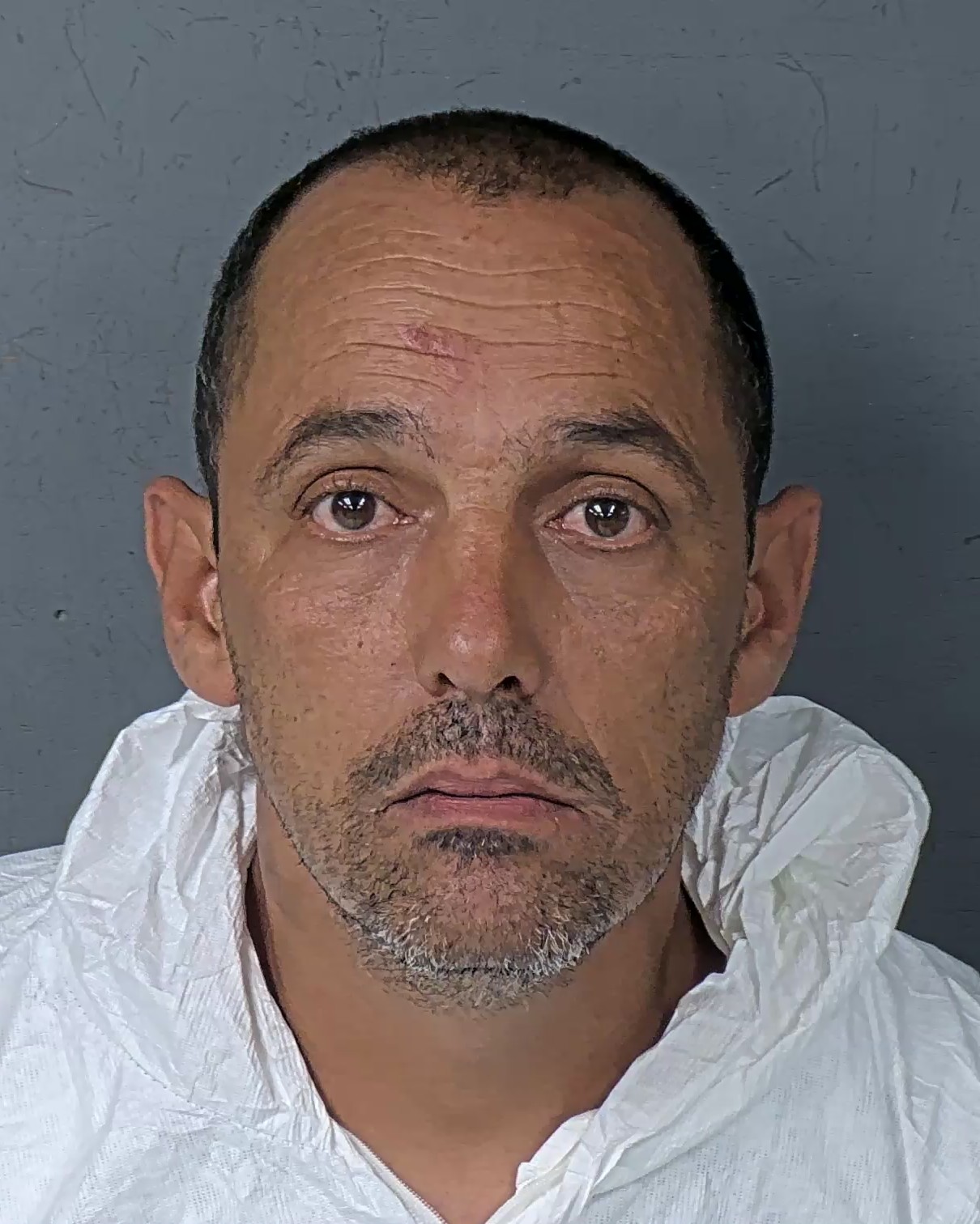 Mugshot of HANY HABIB KHALIL