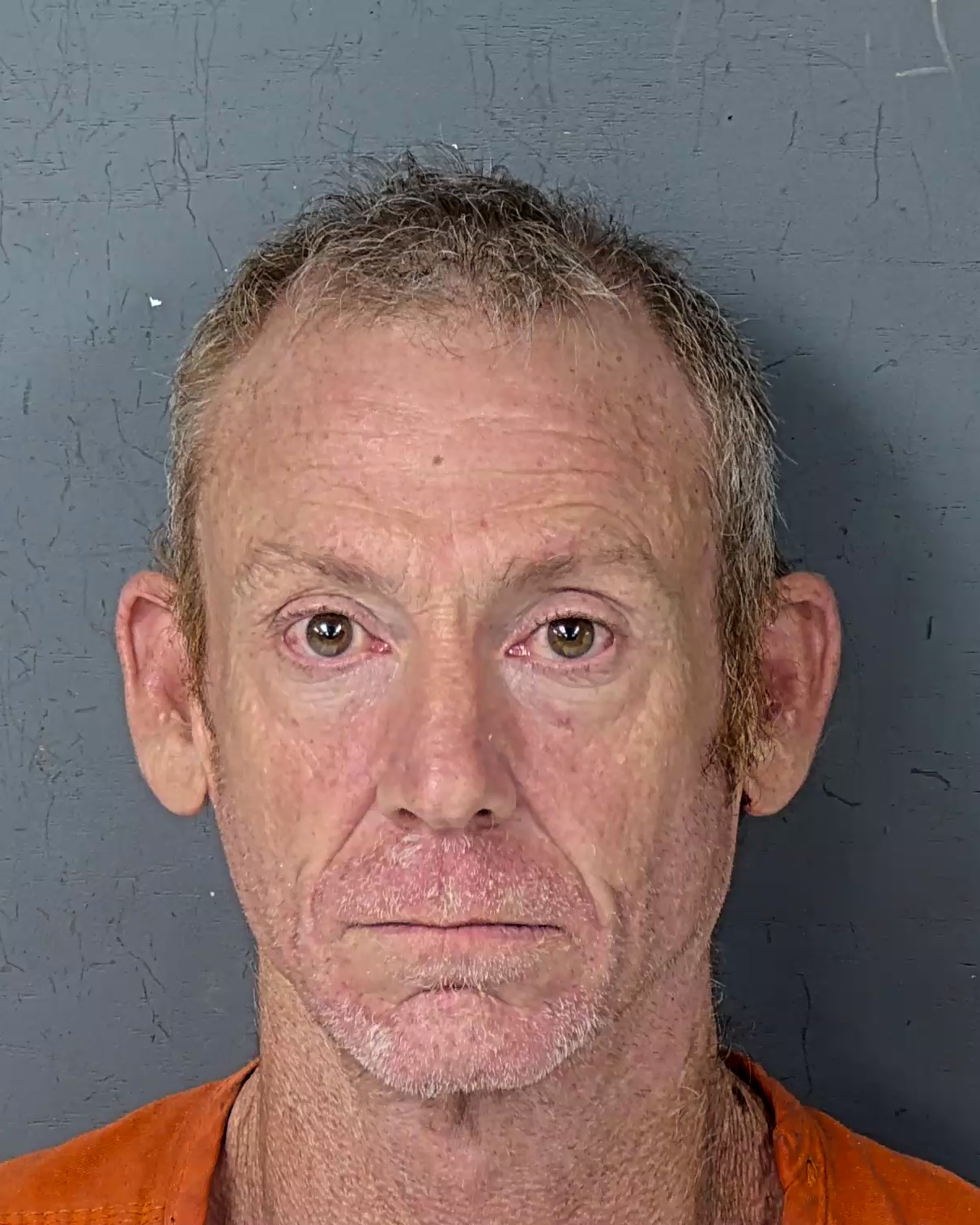 Mugshot of MICHAEL CHARLES FEGER