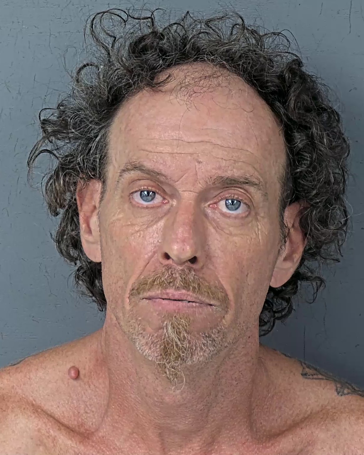 Mugshot of ROBERT LEWIS THIBODEAU