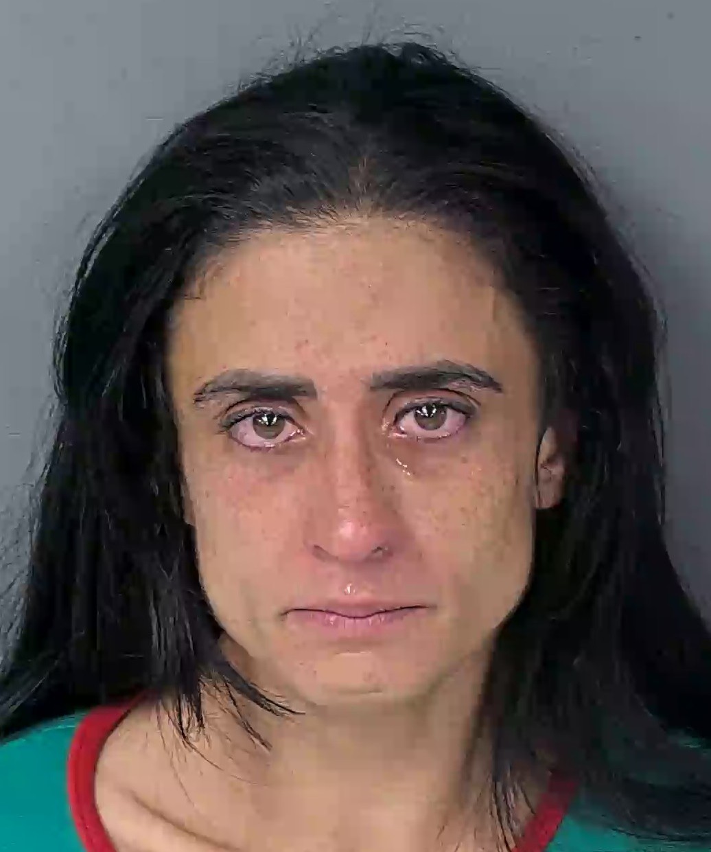 Mugshot of CLAUDIA ANGELICA MORALES-SELLET