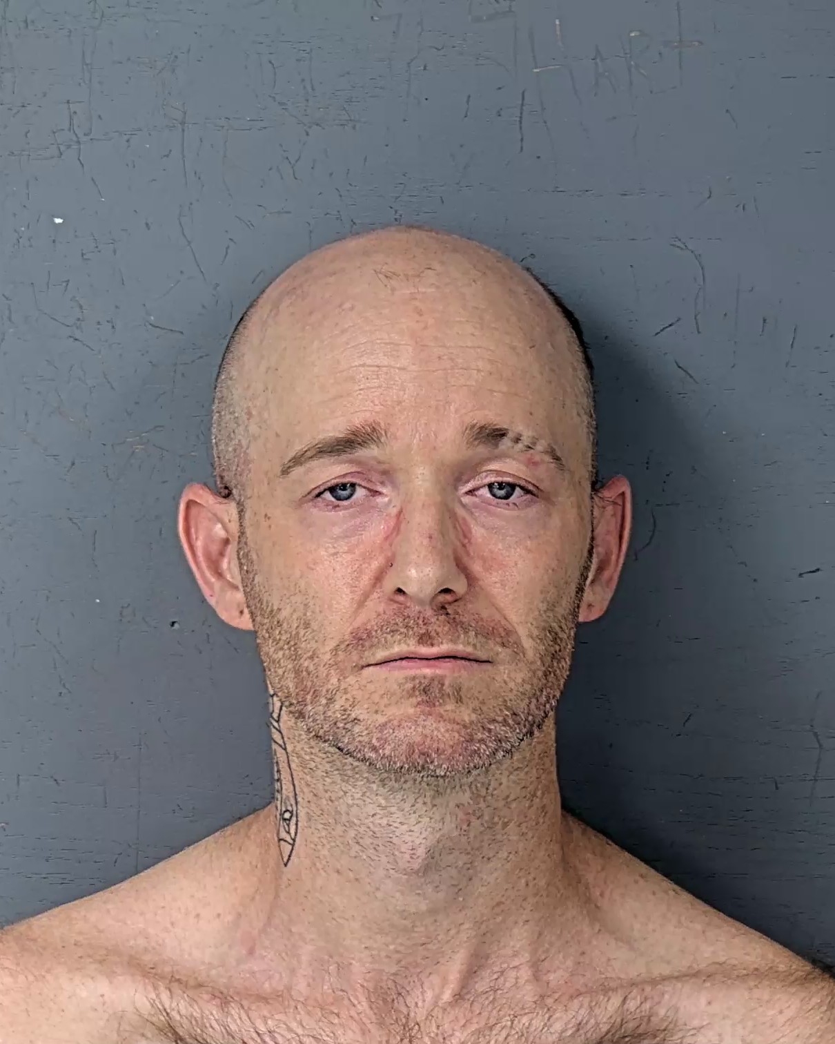 Mugshot of STEVEN JOSEPH SHEEHAN