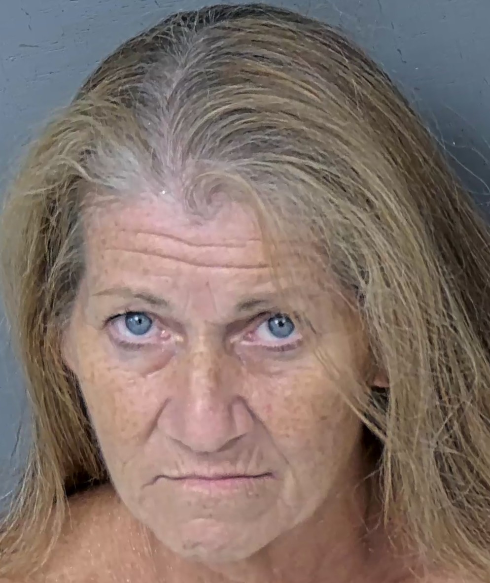 Mugshot of MELISSA ANN RYAN